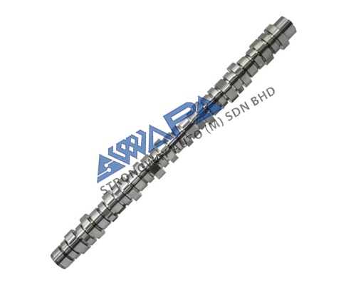 CAMSHAFT WITH BEARING