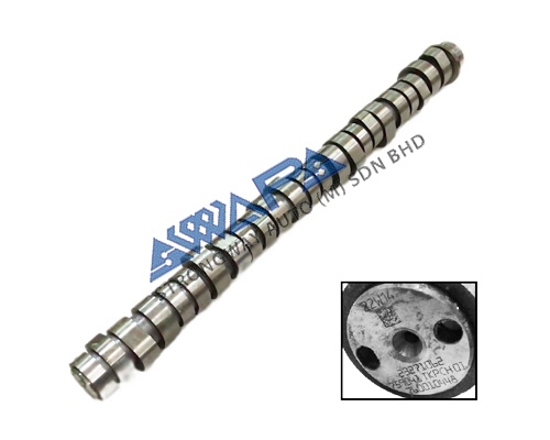 CAMSHAFT WITH BEARING