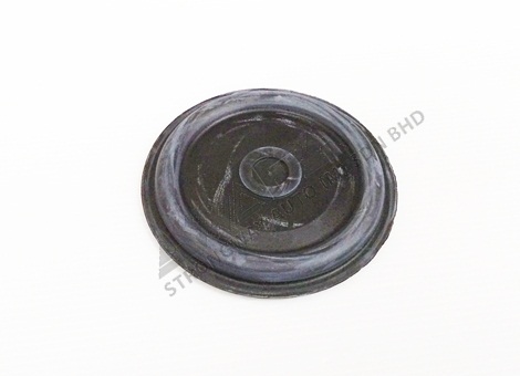 timing diaphragm - 1487612