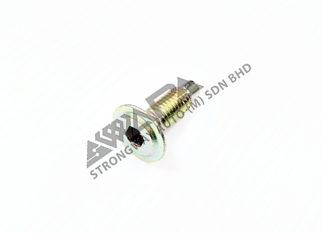 END PLATE SCREW