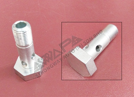 hollow screw - 1521812