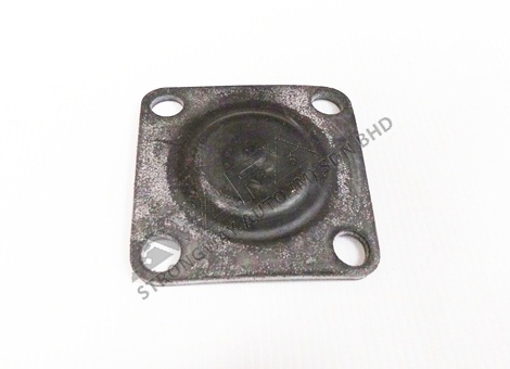 diaphragms - 20545485