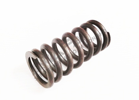 VALVE SPRING