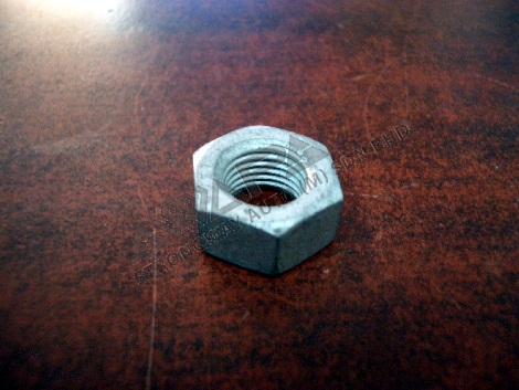 p/shaft nut - 25339078