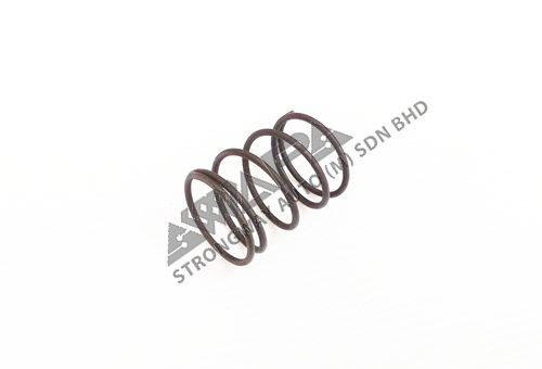 SELECTOR SHAFT SPRING