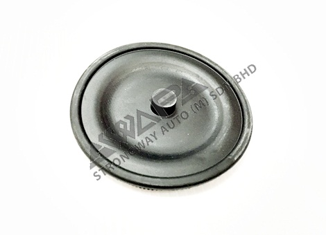 diaphragms - 383972