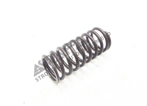 valve spring (s) - 468066