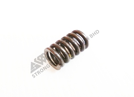 control plunger spring - 8171668