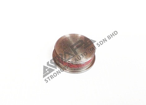 CYLINDER HEAD PLUG