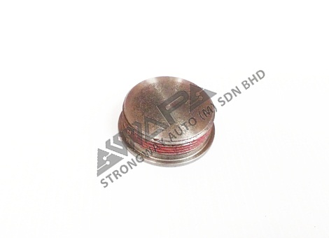 cylinder head plug - 8194467