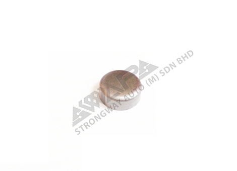 cylinder block cap plug - 955082