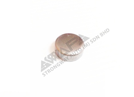 cylinder block cap plug - 955083