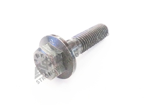 fuel pump disc screw - 984755