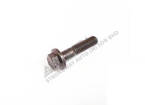 FUEL PUMP DISC SCREW