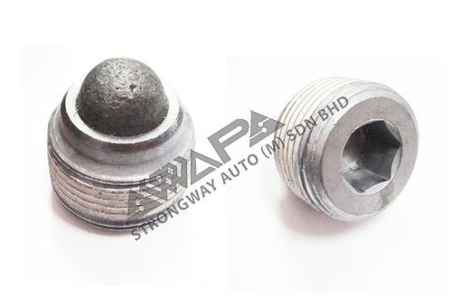 AXLE MAGNETIC PLUG