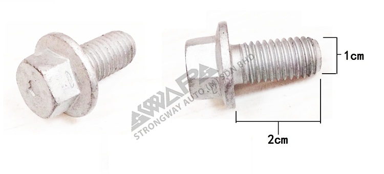 FLANGE SCREW